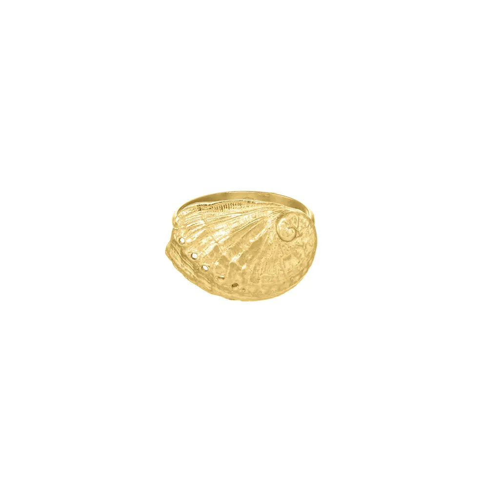 Abalone Shell Ring