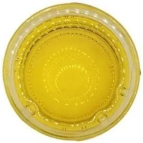 Hazelnut Oil Apothecary Grade